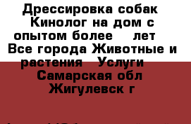 Дрессировка собак (Кинолог на дом с опытом более 10 лет) - Все города Животные и растения » Услуги   . Самарская обл.,Жигулевск г.